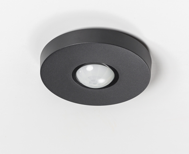 Light and Motion Sensor